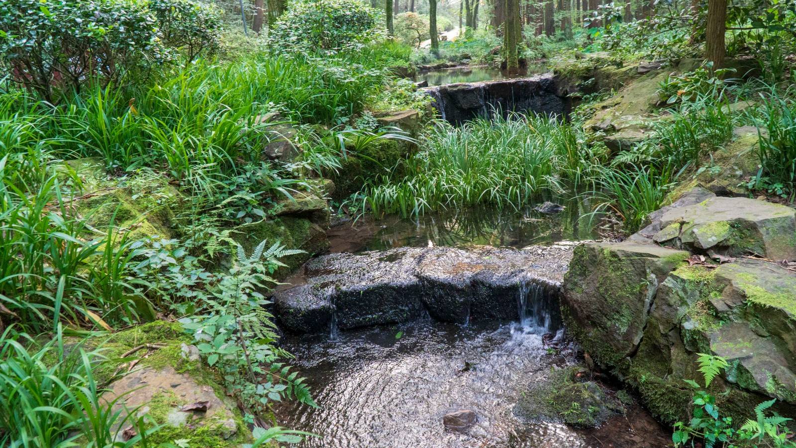 夏天去墨石公园适合怎么穿搭_墨石公园景区(3)