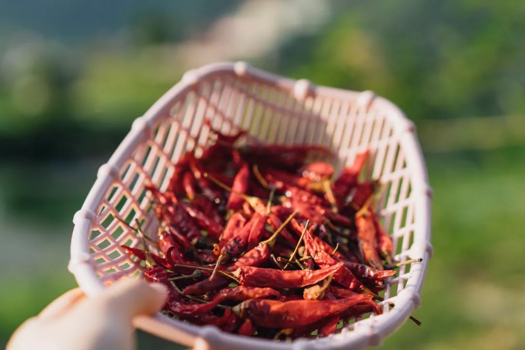 三星分享村落丨向往，這一處詩意的遠方 旅遊 第32張