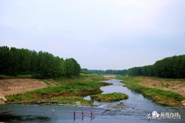 在河坞乡拍的照片,除了河坞大闸,这里还有._新蔡县