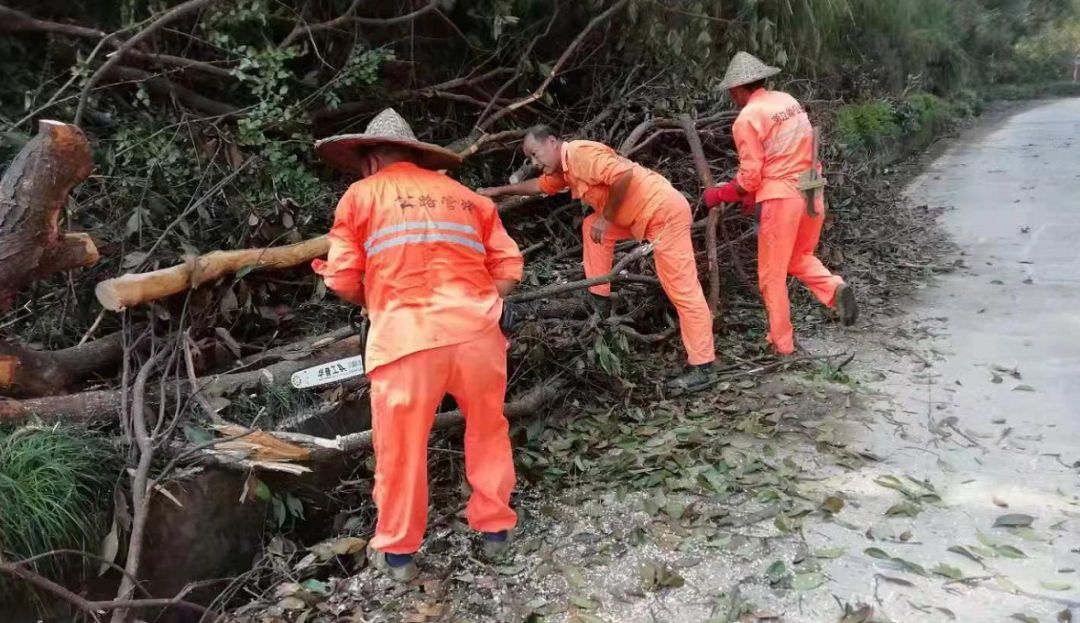 地开展路面养护、清理塌方、工程施工、路政巡查、绿化苗木扶植等工作。
