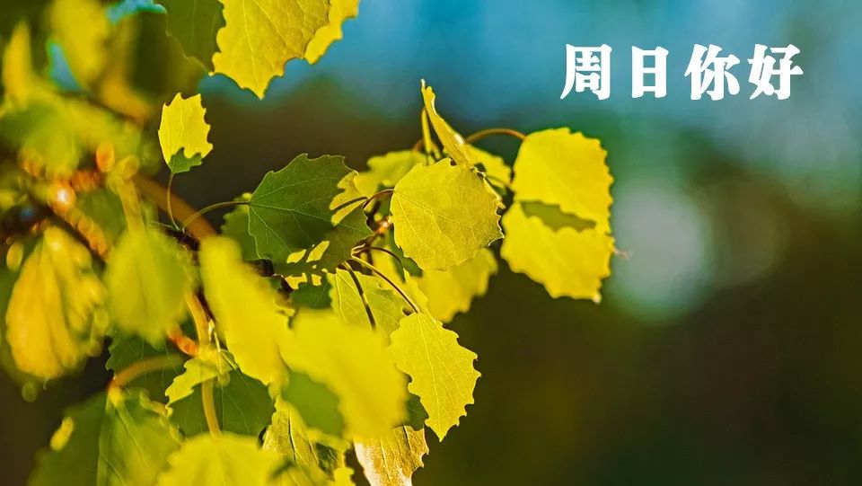 早上好,今天是2019年08月18日,星期日,农历七月十八.