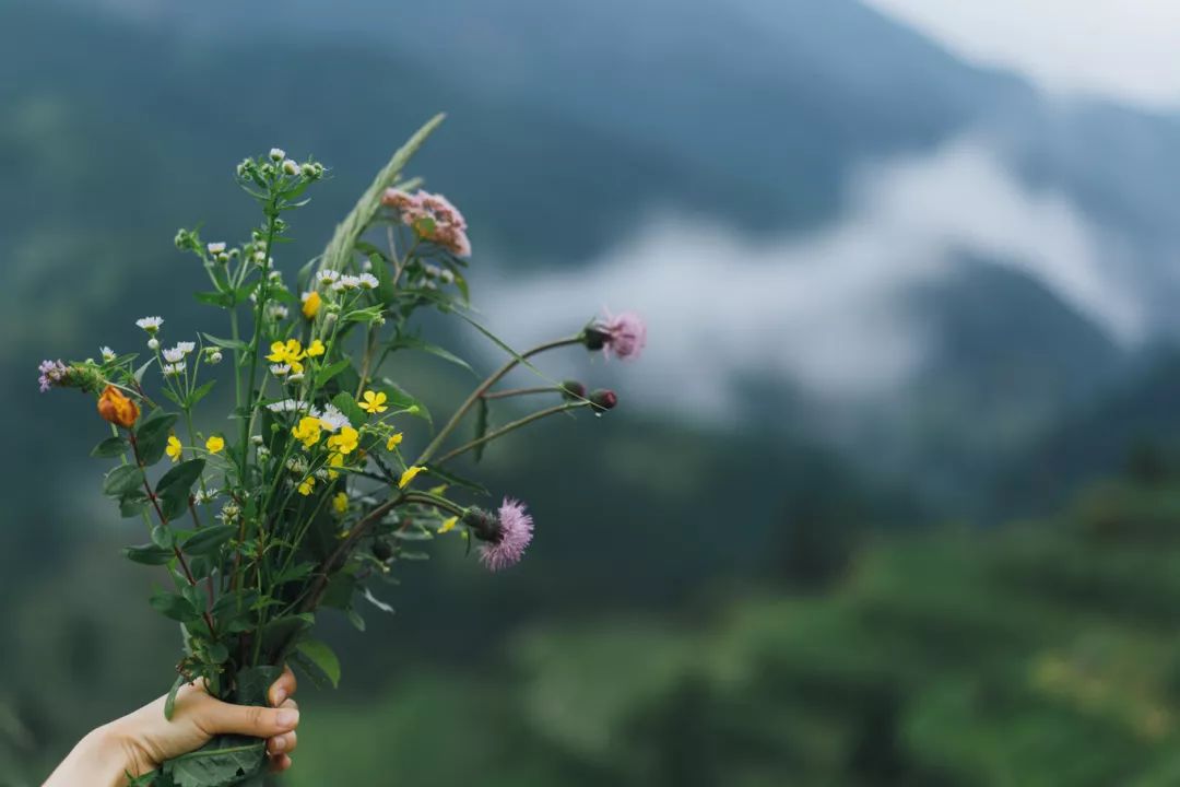 三星分享村落丨向往，這一處詩意的遠方 旅遊 第7張