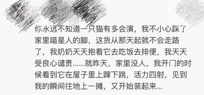 爱是怀疑简谱_爱是怀疑 吉他谱(3)