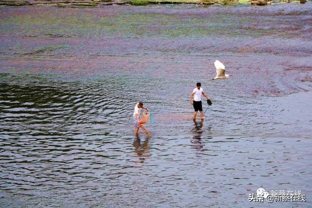 在河坞乡拍的照片,除了河坞大闸,这里还有._新蔡县