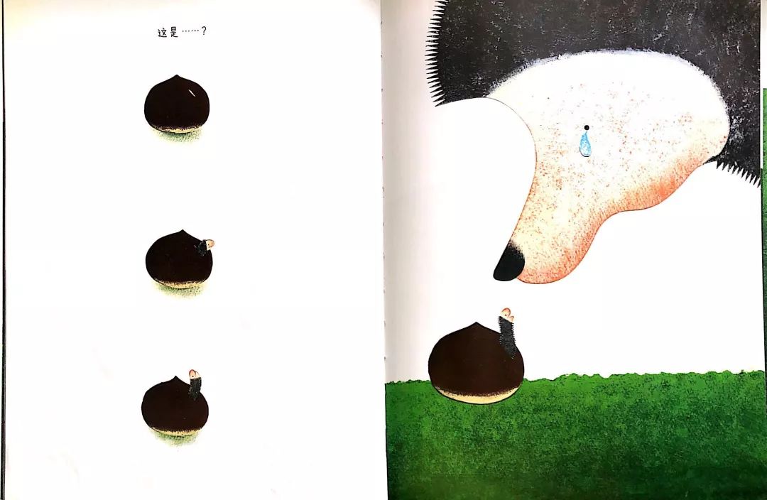 刺小猬的蛋_刺猬