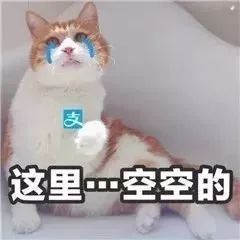 61810c6922294d57bef57b2c48f46884.jpeg
