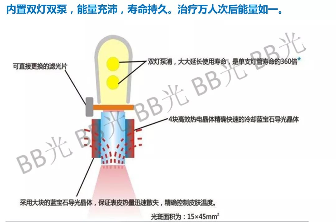 人口安全系数_人口普查(3)