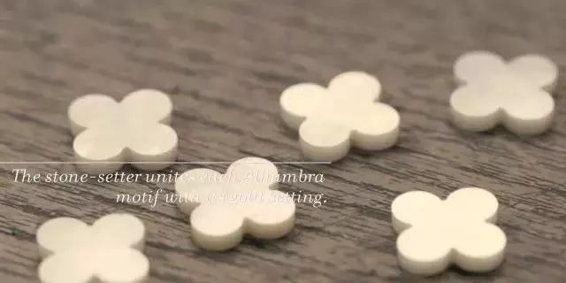 ����ű�����:���º�����˰�걨��19��8��