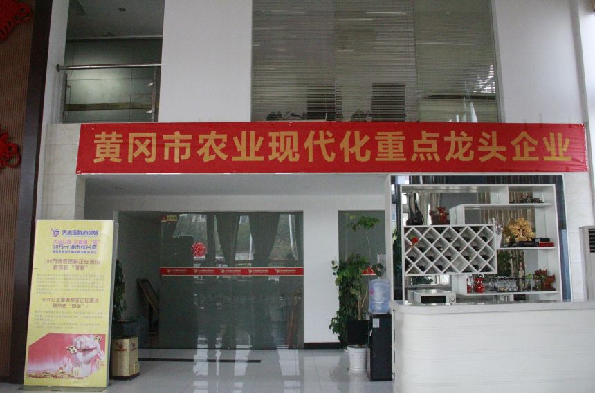 至全国的商家在此进行交易，让黄冈特色农产品陆续走出全省、走向全国。