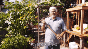 老外末日生存教程!看到第二个我当场跪了!