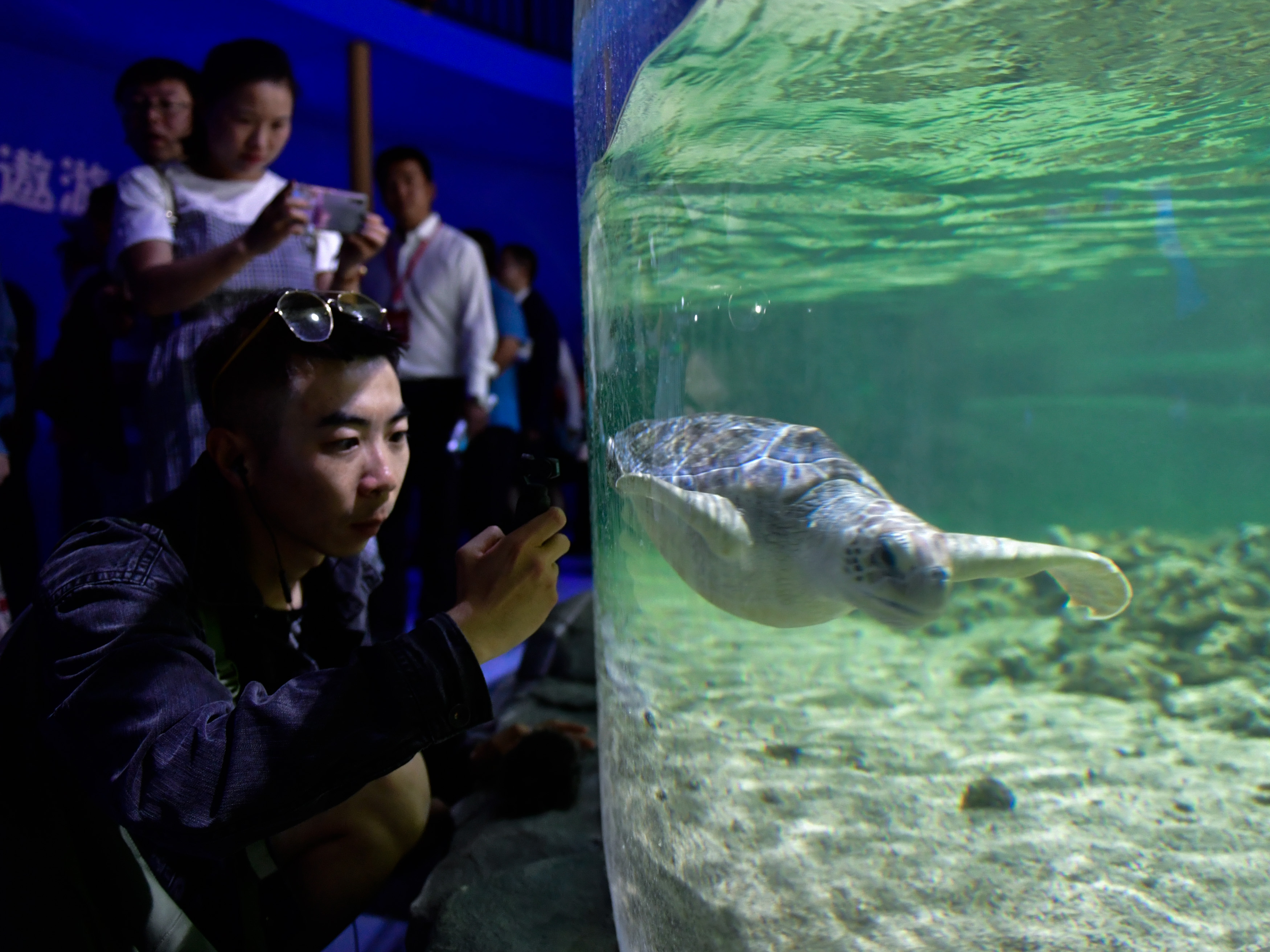 世界海拔最高的大型综合海洋馆在高原古城西宁开馆