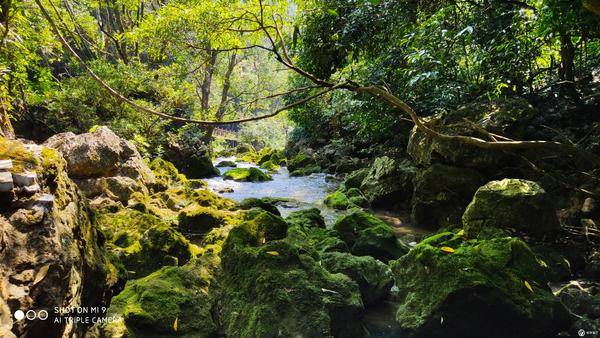 「城市攝影」貴州荔波，地球腰帶上的綠寶石 旅遊 第10張