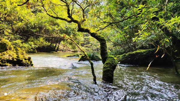 「城市攝影」貴州荔波，地球腰帶上的綠寶石 旅遊 第14張