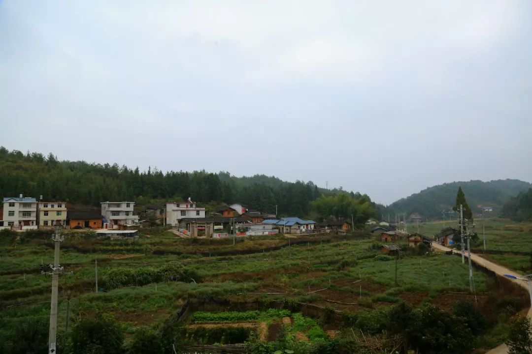 闽西革命基点村巡礼丨长汀四都琉璃村: 绿水青山“淌”金银…… 10bet体育手机登录