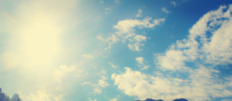 需谨慎|2020高考专业解析：14组容易混淆的专业，报考需谨慎