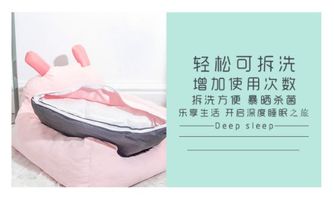 選對寵物用品，給你的「毛孩子