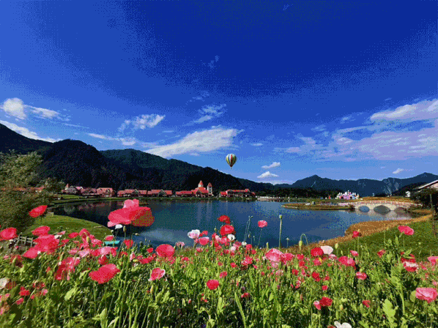 【西岭雪山】2折住枫叶酒店~仅2折159元抢枫叶酒店2大