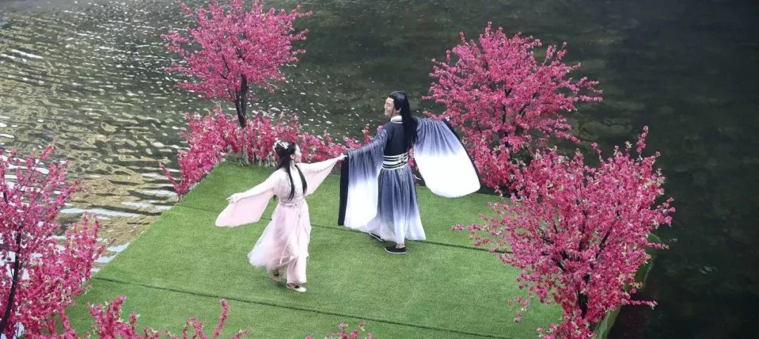 施恩baby,施恩by广告,施恩_大山谷图库