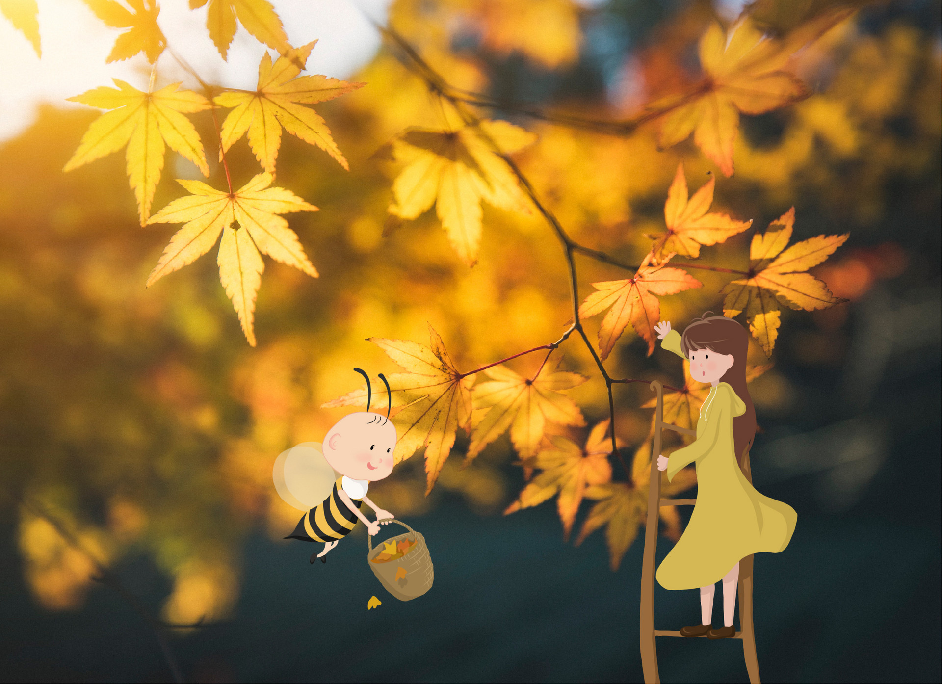 秋枫叶疯狂猜成语是什么成语_很多树叶和一个秋是什么成语 一个秋和很多落叶