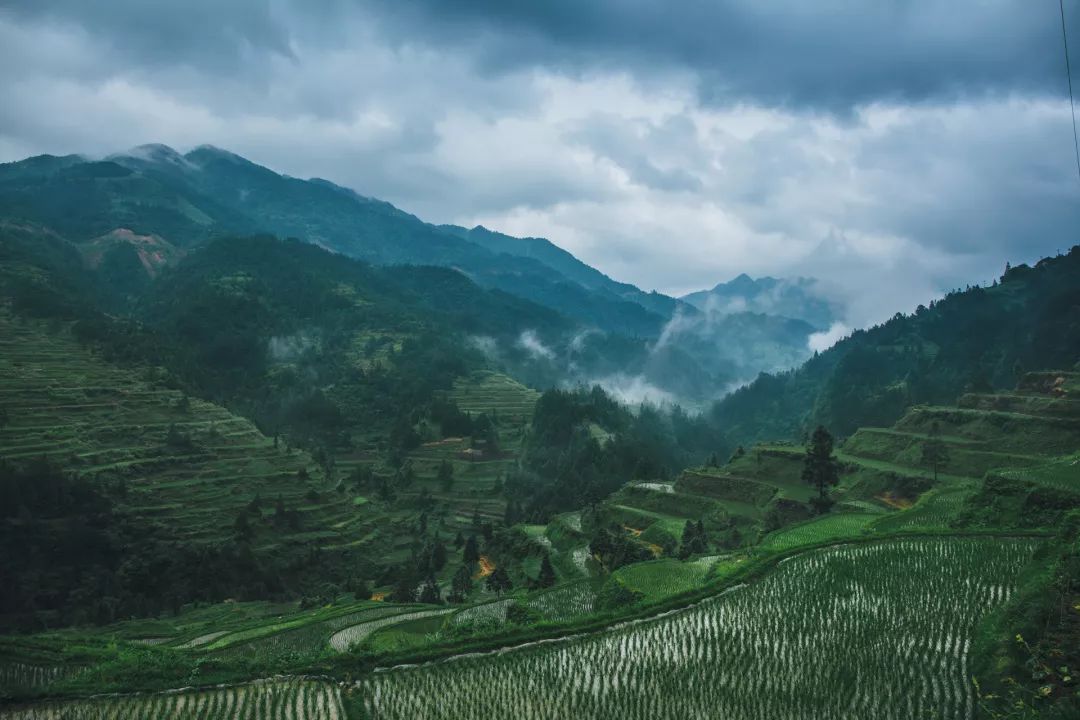 三星分享村落丨向往，這一處詩意的遠方 旅遊 第3張