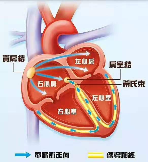 多以心率缓慢所致的脑,心,肾等脏器供血不足引起的症状,尤其是脑供血