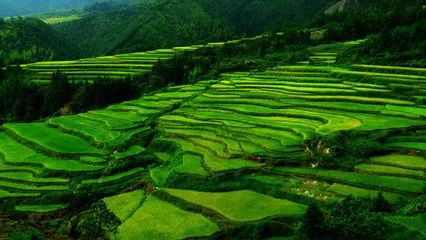 白芒村人口_白芒营镇五庵岭村