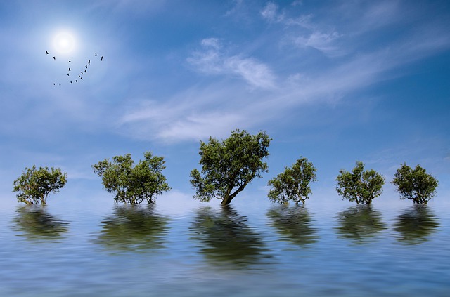 开不起玩笑的4个星座男,处女小心眼,天蝎太敏