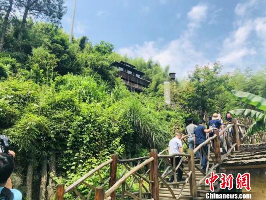 深山耕出“金苗子” 畲乡景宁唱响“畲族生意经” 兴发娱乐官网xf187j