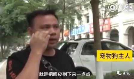 給平均年齡不足10歲的它們整形？虐待也不過如此吧 寵物 第33張