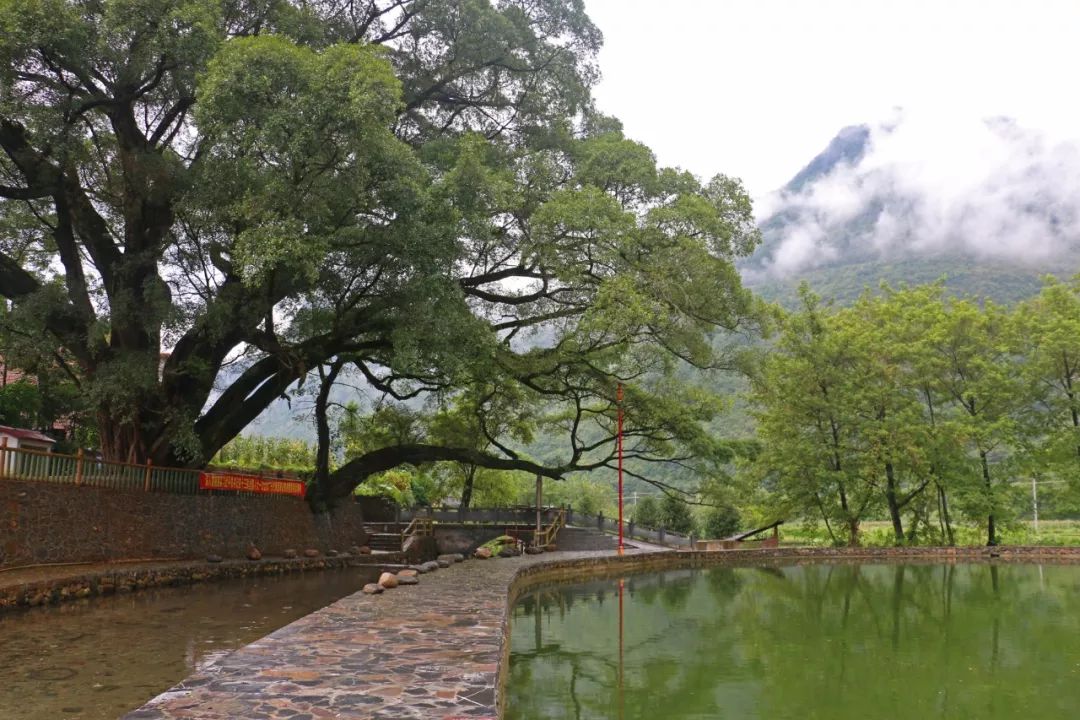 芒山镇人口_芒山镇旅游景点大全(3)