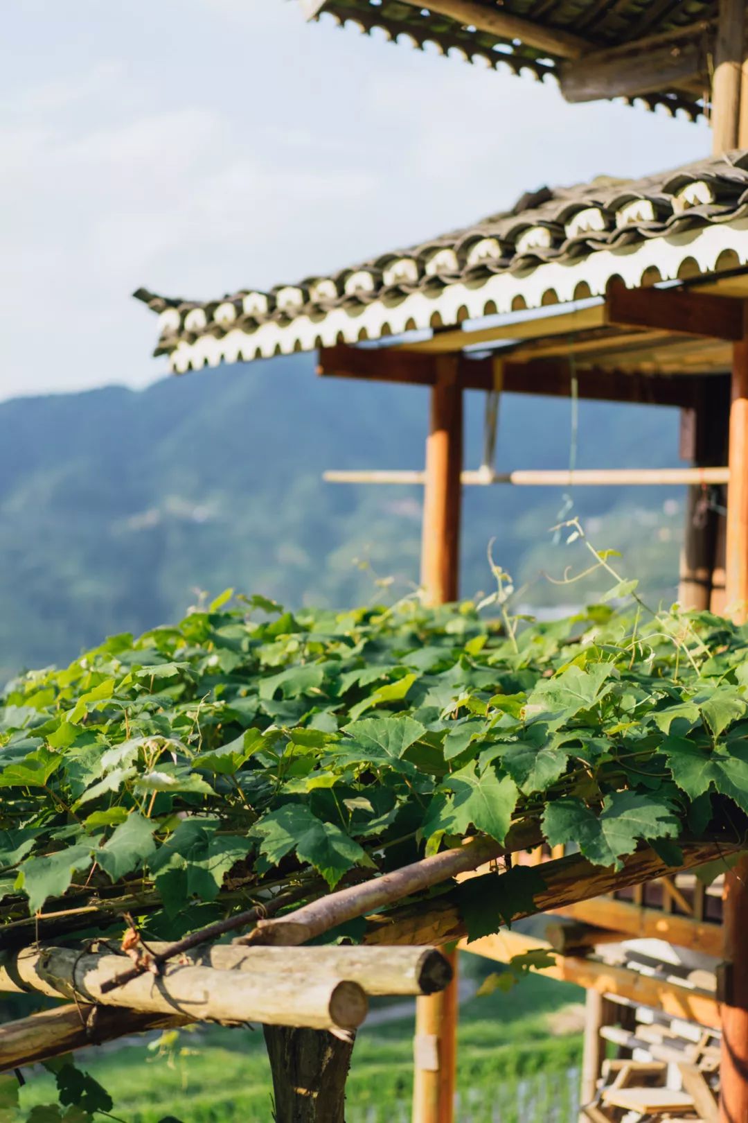 三星分享村落丨向往，這一處詩意的遠方 旅遊 第34張