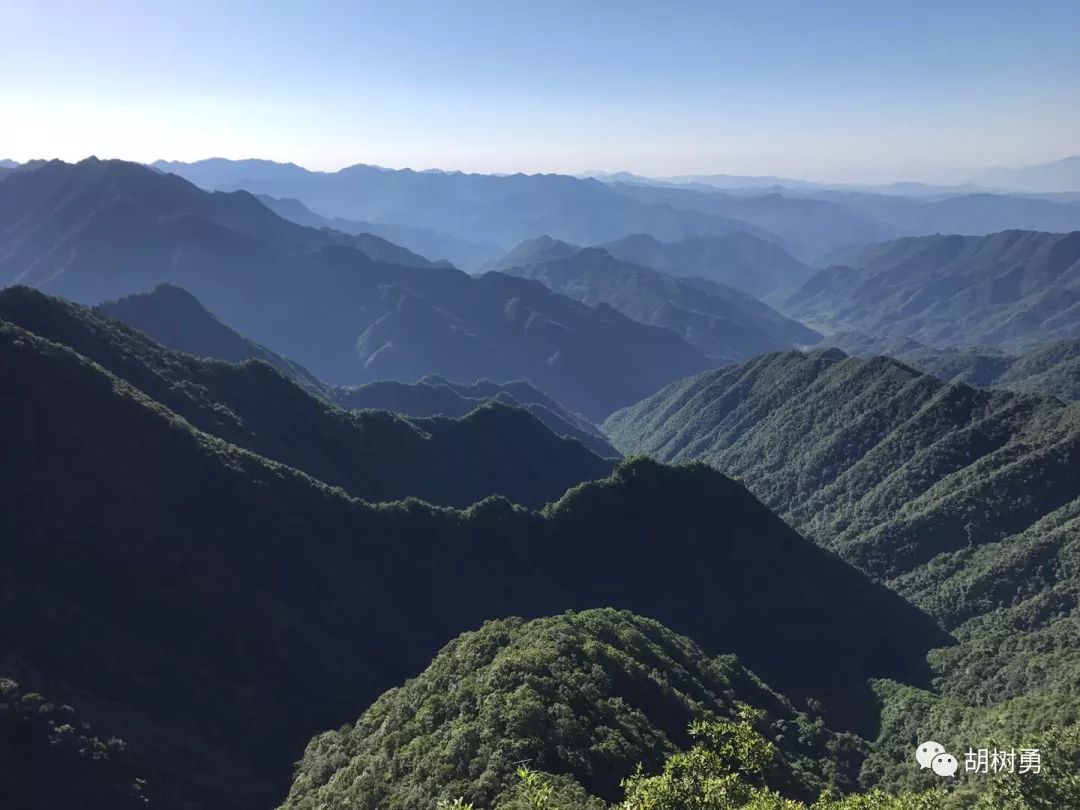 实拍│己亥夏登云雾山_石泉