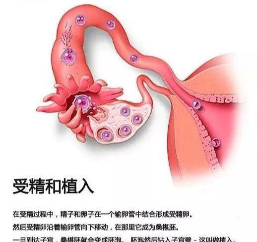 世界不孕人口_世界人口(3)