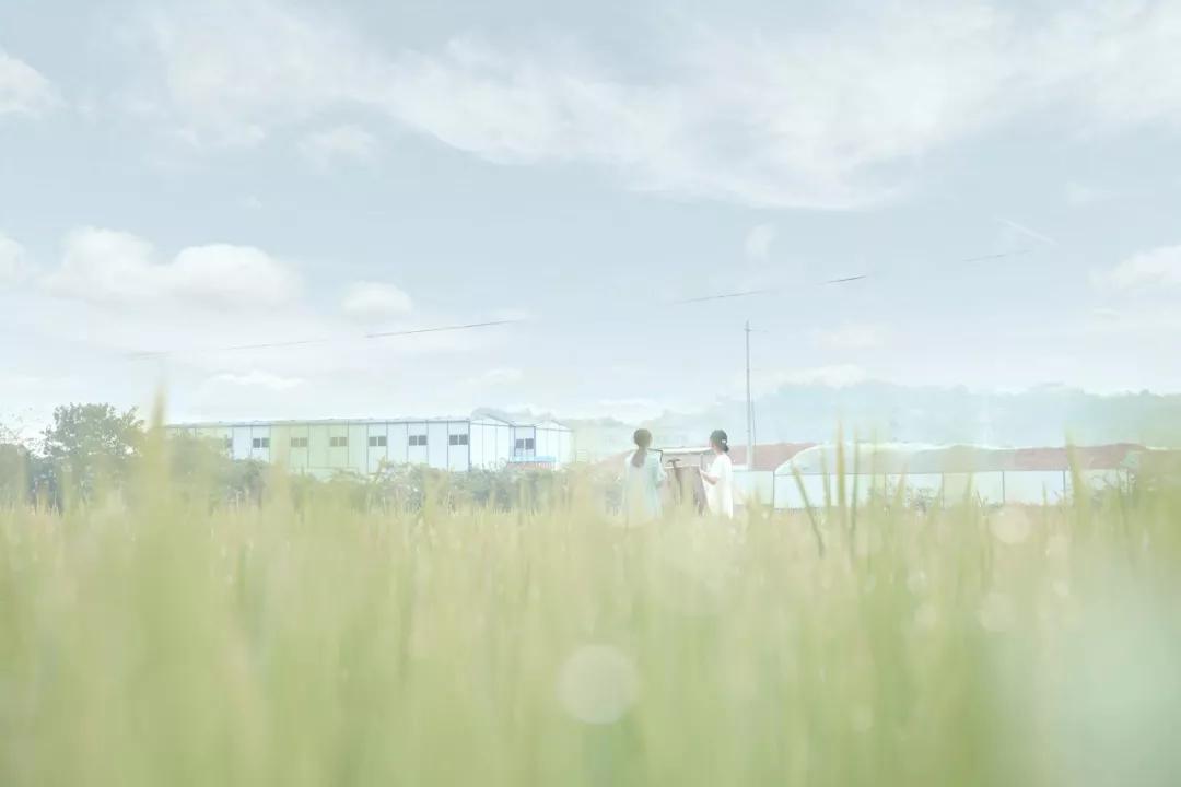 梦回老舅家，未竟新居的寓言与地基之上的希望