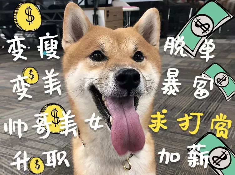 我齐天在这里跟大家宣布我认命了