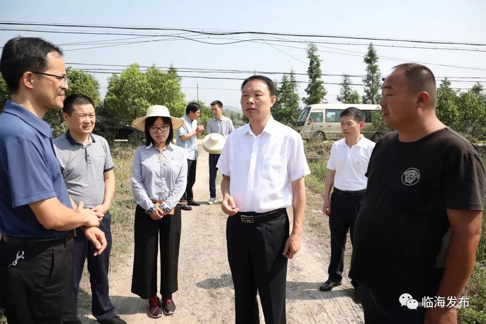 全面夺取抢险救灾工作的最后胜利市领导周日继续深入各地检查灾后重建