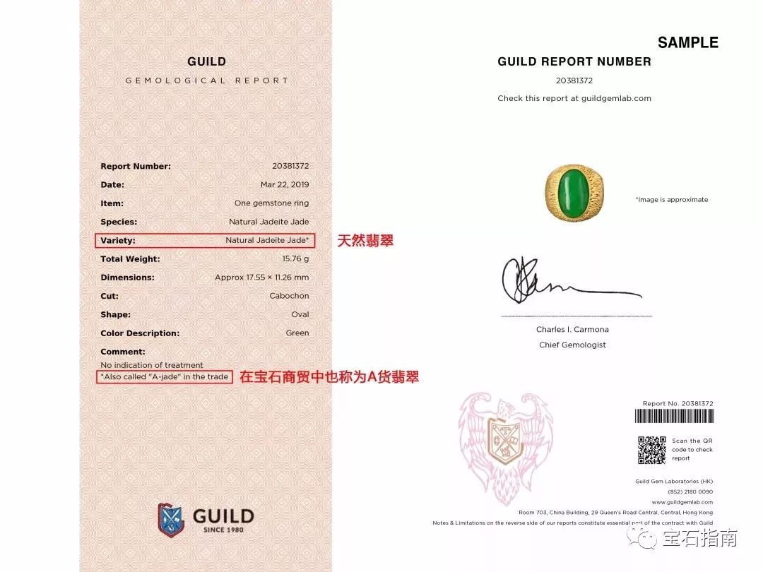 guild证书 来自搜狐网