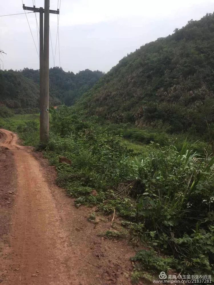 请到沅陵大合坪深处符家山村来