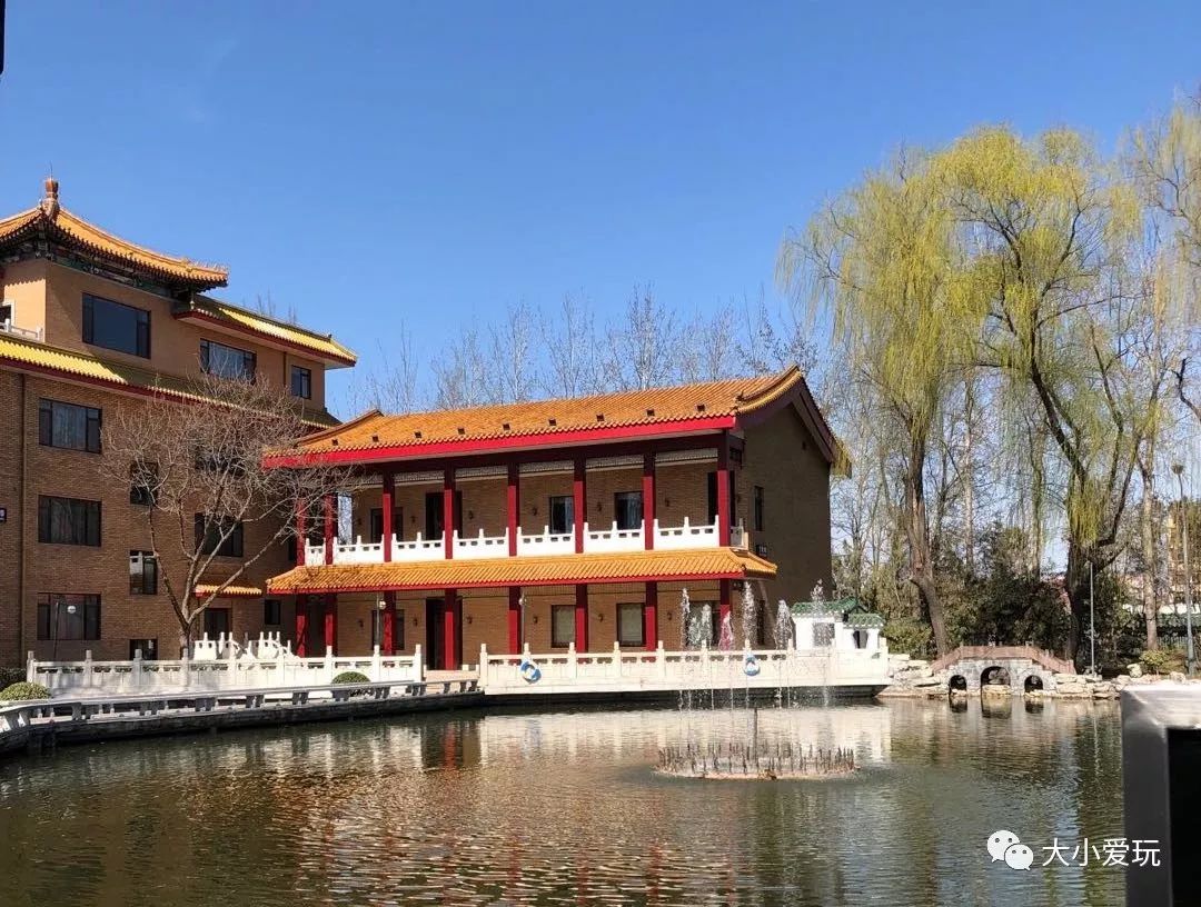 老北京妈妈私藏了很久的秘密溜娃地!它们竟然