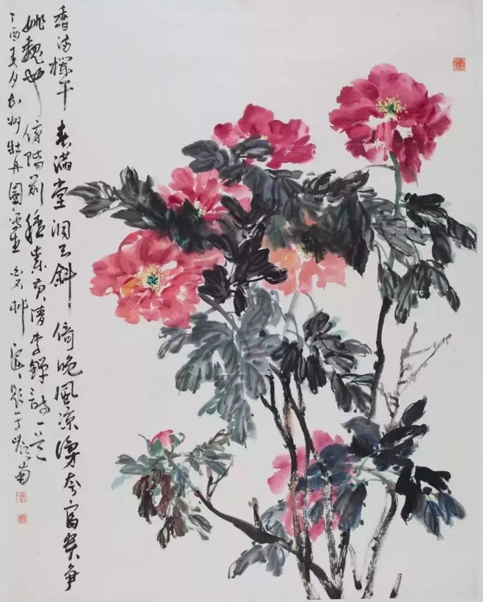 白菜送钱菌