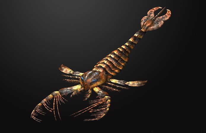 板足鲎古生代海洋的顶级掠食者在一次次打击中总能涅盘重生