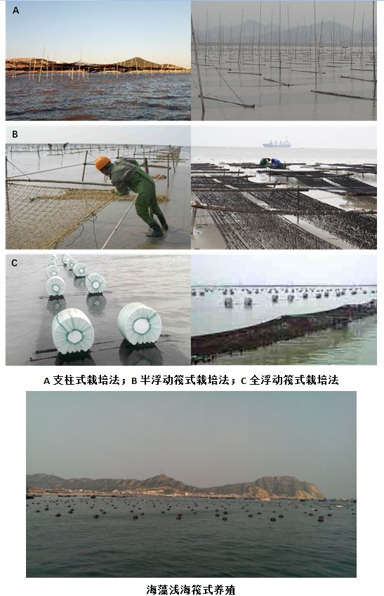 山东省渔业经济总量_山东省海洋与渔业监督(3)
