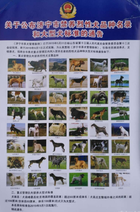 济宁市养犬管理条例正式发布禁养烈性犬品种出炉9月1日实施