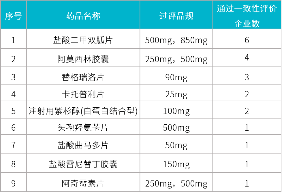 大丰gdp_大丰荷兰花海(2)