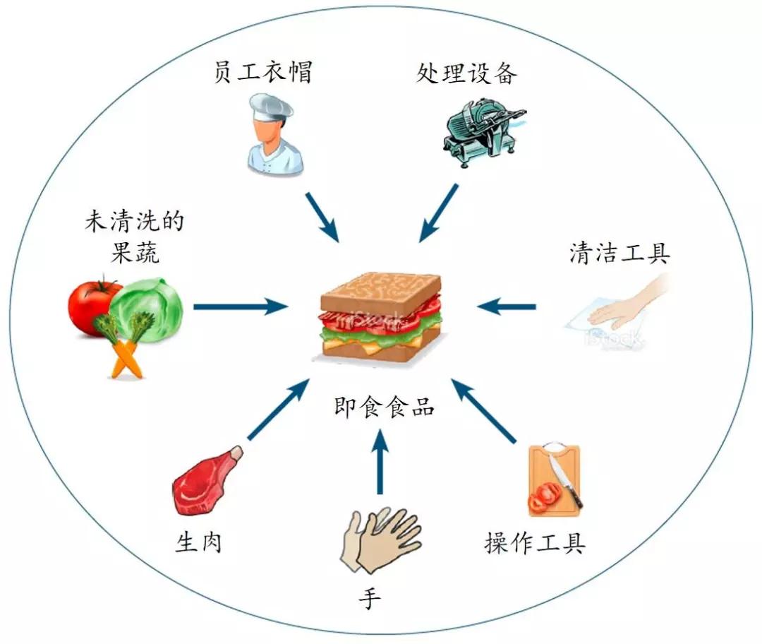 下图以鲜切食品为例画出各种交叉污染源.