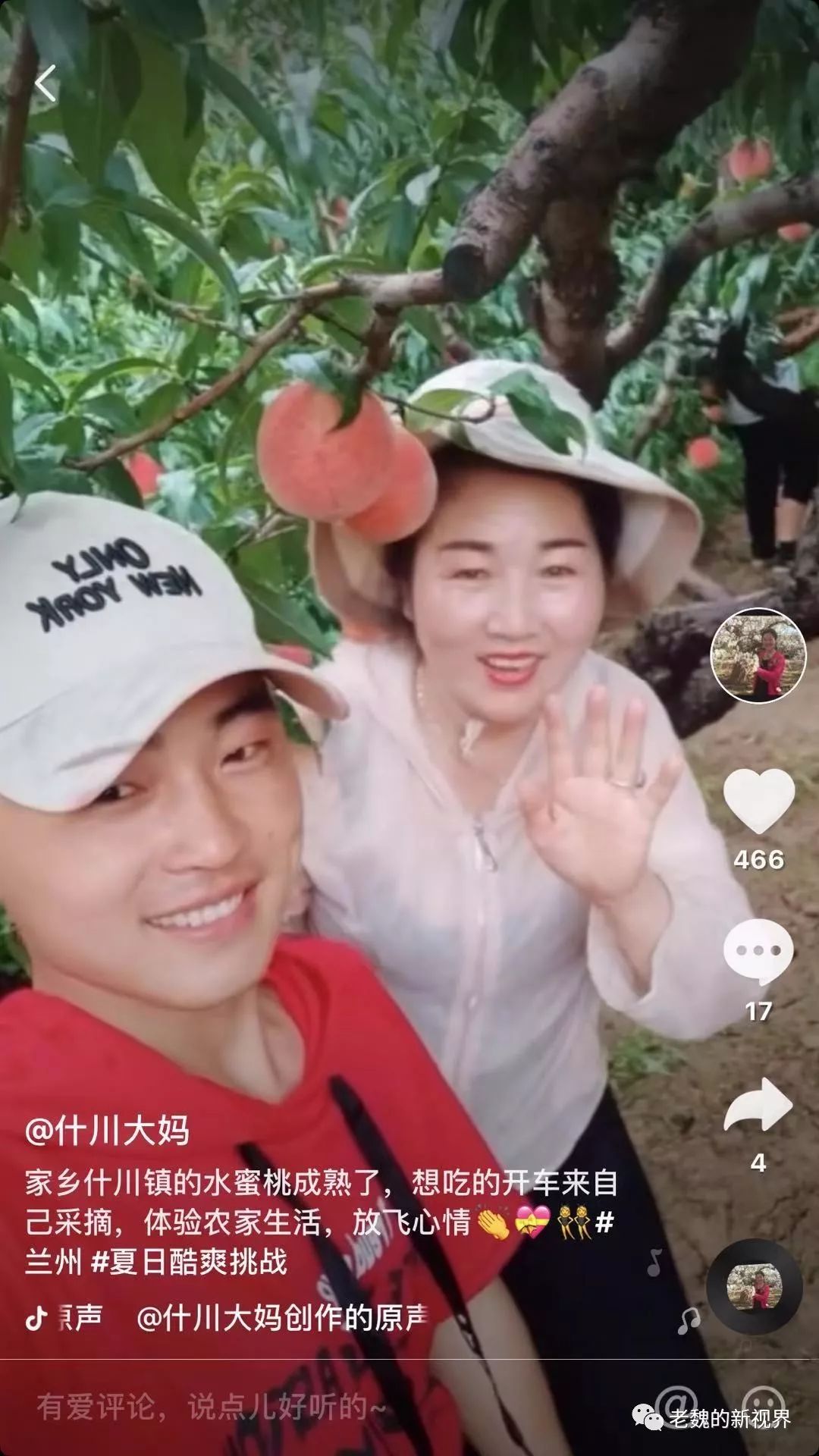 上过央视的"什川大妈"开起直播卖桃子