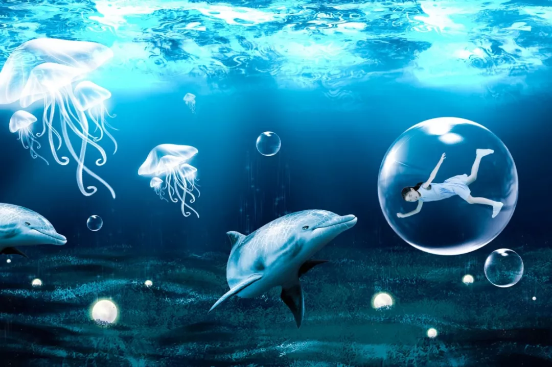 5d98502bdd9f4c50a73264648e410818.png