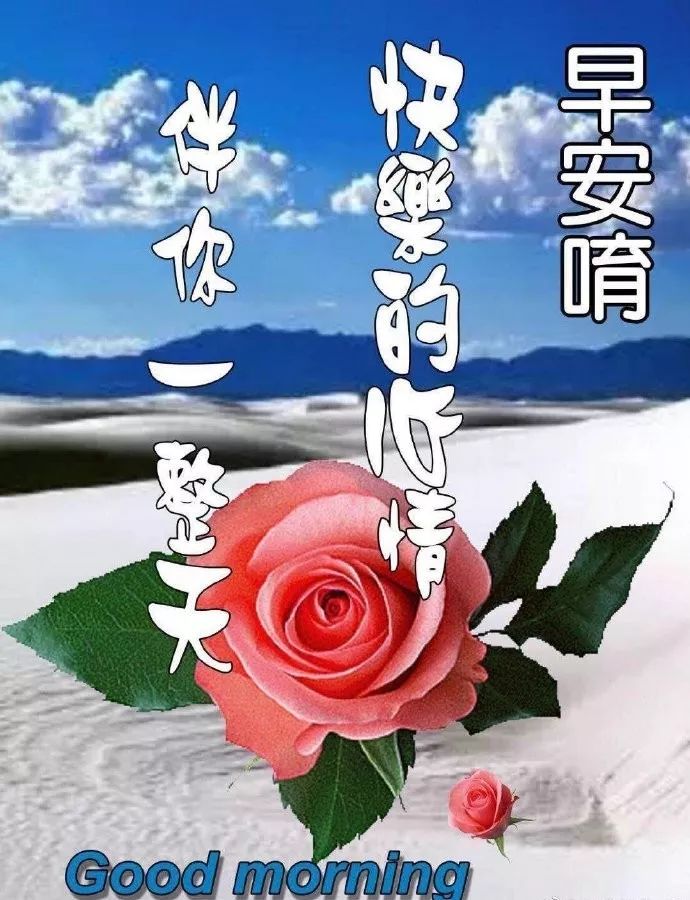 最美早上好动态图片表情带字和鲜花,早安问候语配动态