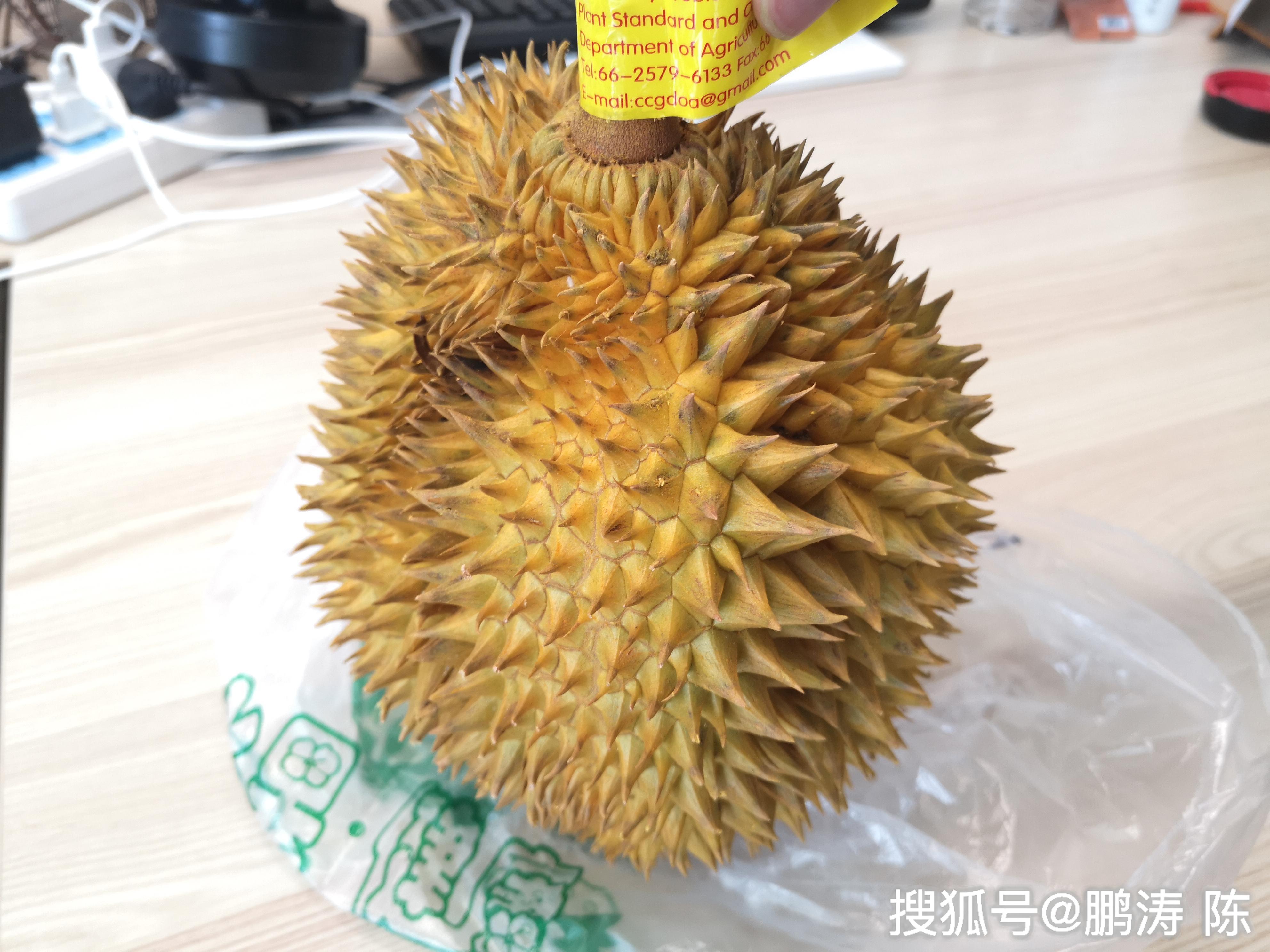 果品知识丨带你走进榴莲的世界