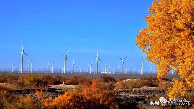 乘势而上!瓜州县积极融入大敦煌文化旅游经济圈